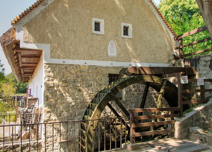 דירה 1 אורבייניאש